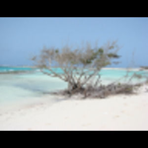 Meet your Posher, Jon